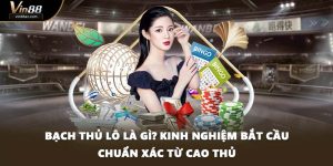 Bạch Thủ Lô Là Gì? Kinh Nghiệm Bắt Cầu Chuẩn Xác Từ Cao Thủ
