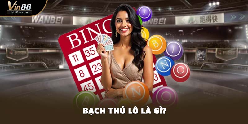 Bạch thủ lô là gì?