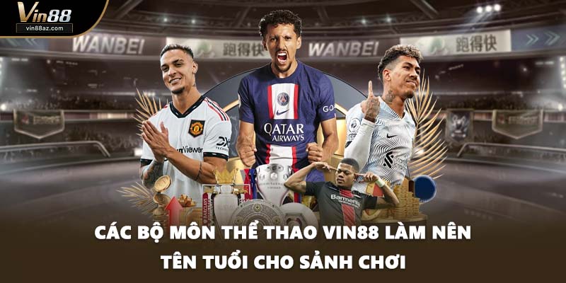 Các bộ môn thể thao VIN88 làm nên tên tuổi cho sảnh chơi