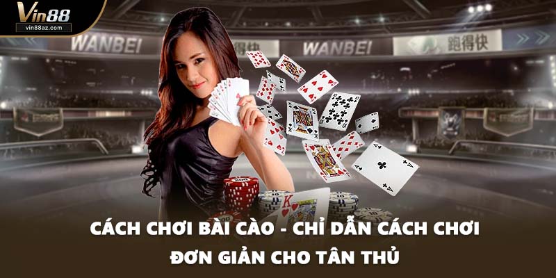 Cách Chơi Bài Cào - Chỉ Dẫn Cách Chơi Đơn Giản Cho Tân Thủ