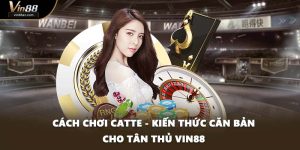 Cách Chơi Catte - Kiến Thức Căn Bản Cho Tân Thủ VIN88
