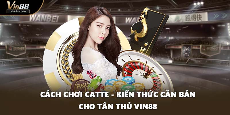 Cách Chơi Catte - Kiến Thức Căn Bản Cho Tân Thủ VIN88
