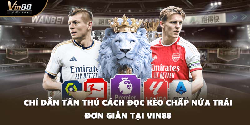 Chỉ dẫn tân thủ cách đọc kèo chấp nửa trái đơn giản tại VIN88
