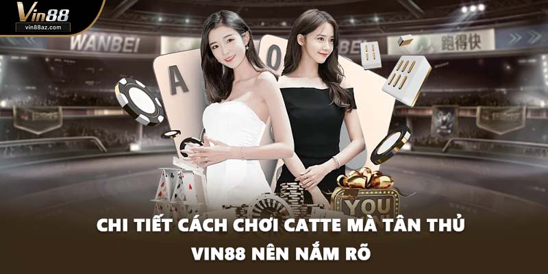 Chi tiết cách chơi Catte mà tân thủ VIN88 nên nắm rõ