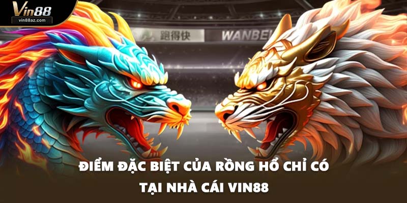 Điểm đặc biệt của Rồng hổ chỉ có tại nhà cái VIN88
