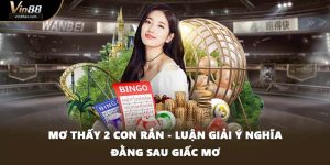 Mơ Thấy 2 Con Rắn - Luận Giải Ý Nghĩa Đằng Sau Giấc Mơ