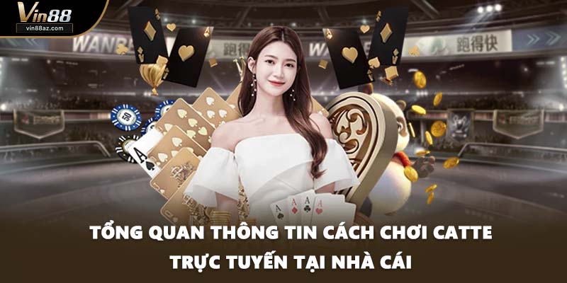 Tổng quan thông tin cách chơi Catte trực tuyến tại nhà cái